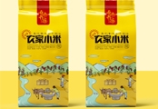 近期的设计流行趋势