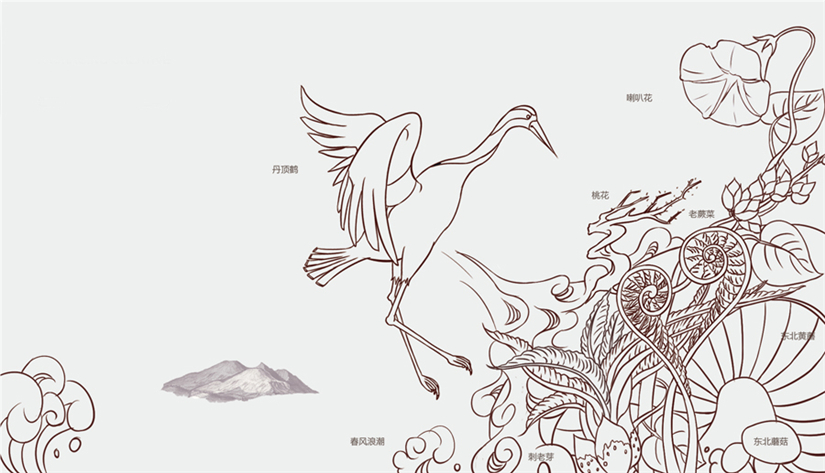 哈尔滨包装设计 哈尔滨包装设计