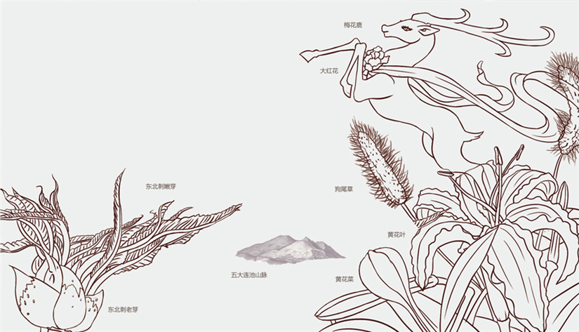 哈尔滨包装设计 哈尔滨包装设计