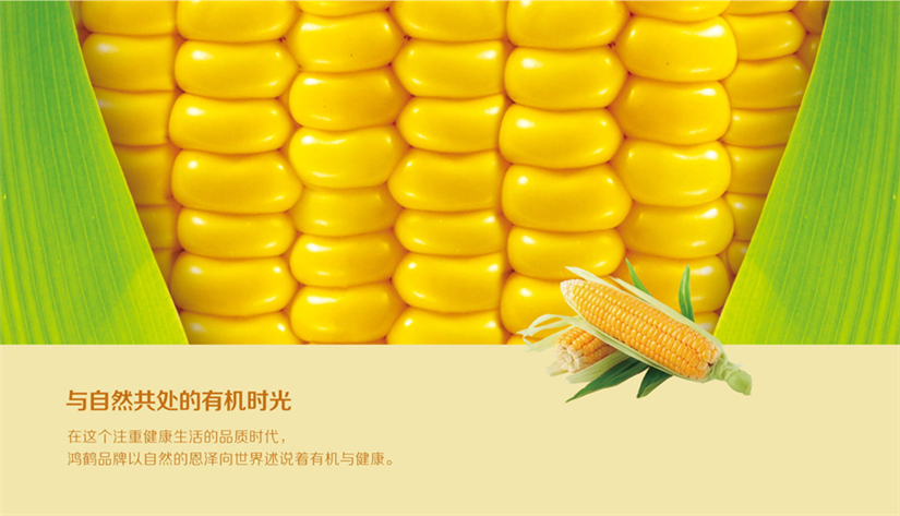 哈尔滨包装设计