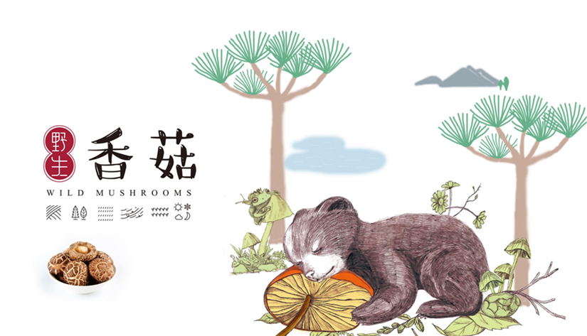 哈尔滨品牌设计